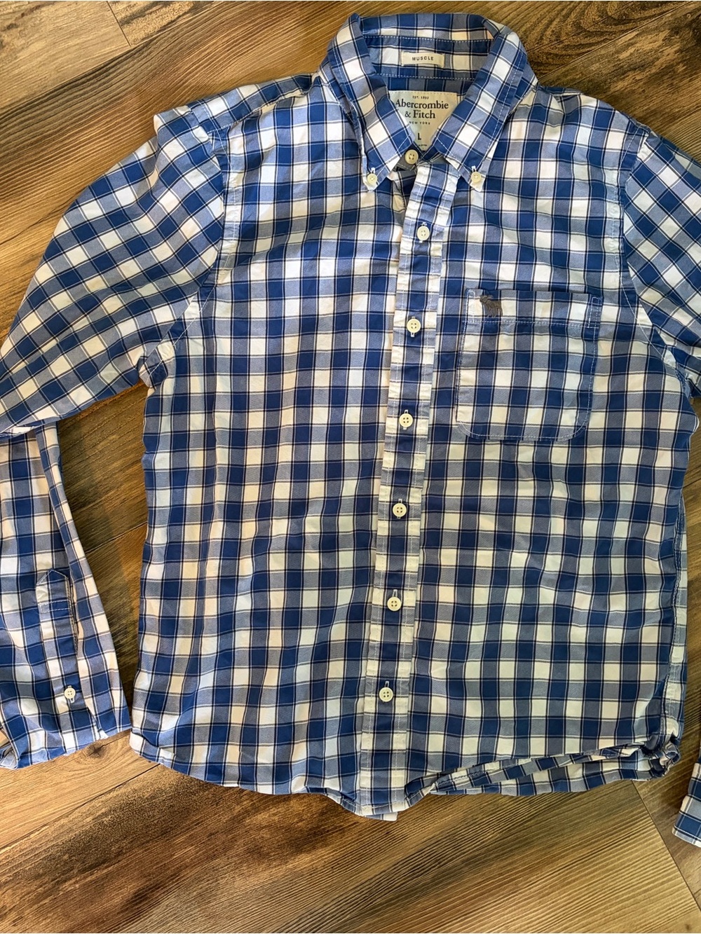abercrombie kids Blue & White Plaid Button-Down Shirt